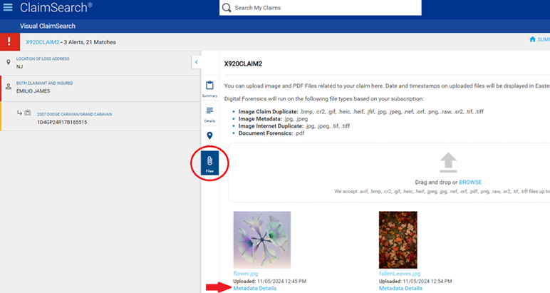 Metadata Viewer