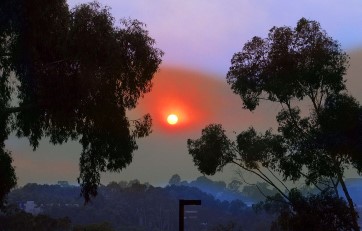 Hazy Sun Teaser 