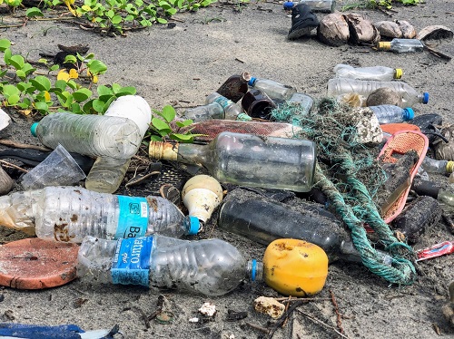 Ocean Plastic 