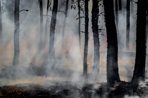 Wildfire Legislation 