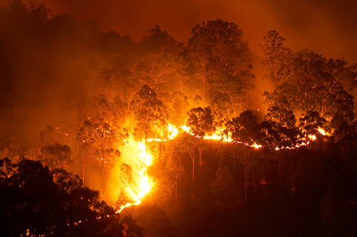 Gettyimages 157478613 Web 