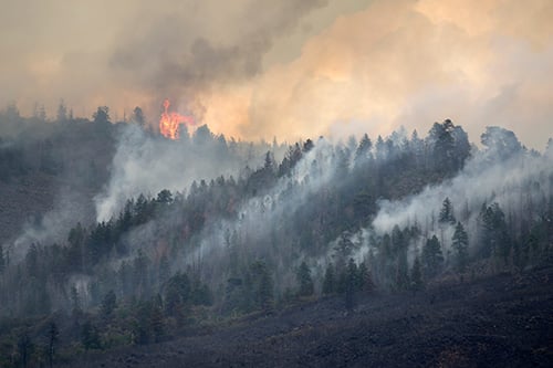 Gettyimages 995109486 Web 