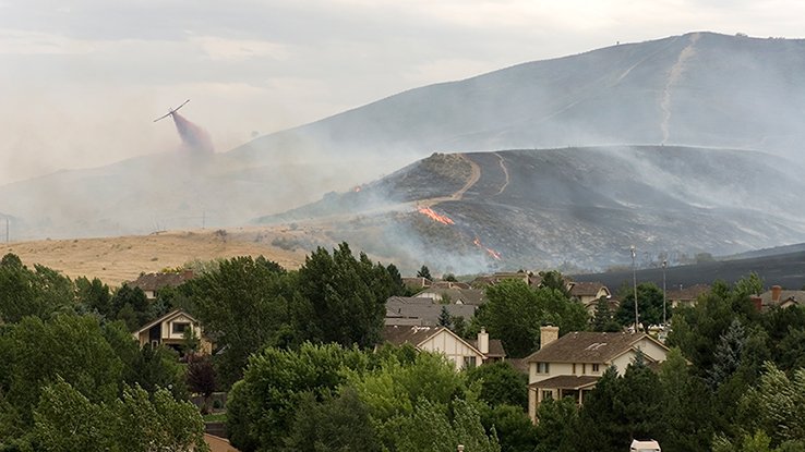 Wildfire Rules 