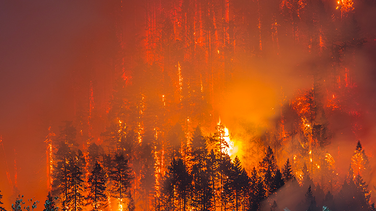 2022 Wildfire 