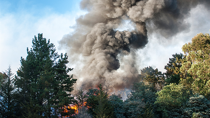 Wildfire In July 