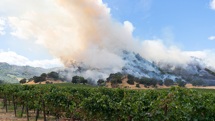 Wildfire Wineries 