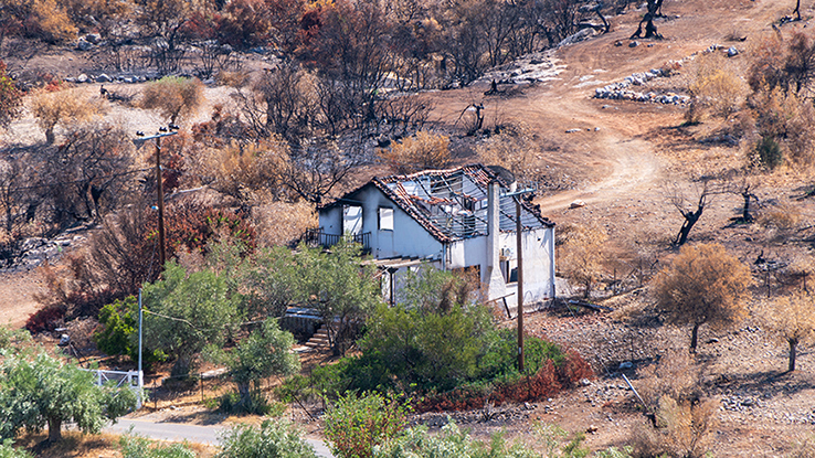 After Catastrophes 