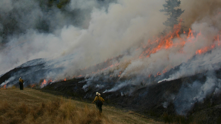 Wildfire Risk In 2021 