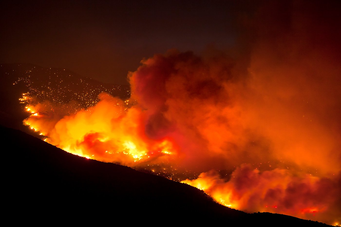 Wildfire