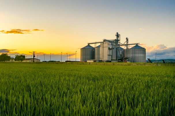 farmland