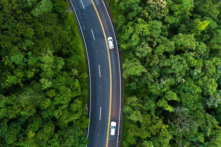 Cars on road