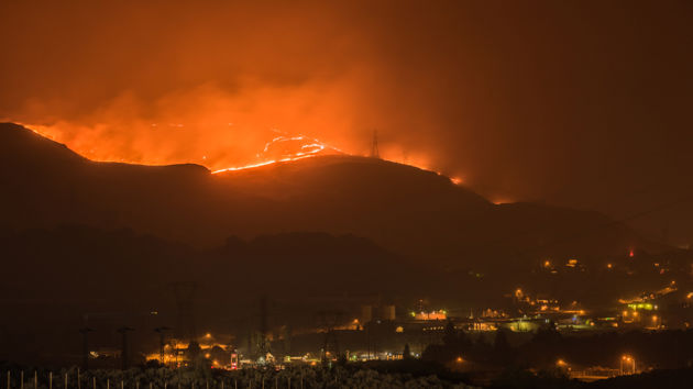 Wildfire