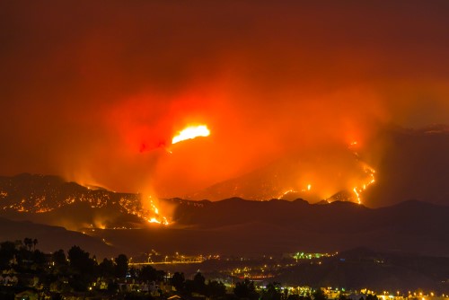 wildfire