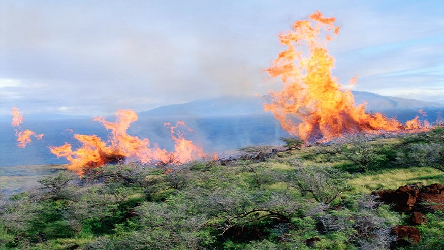 fields-on-fire
