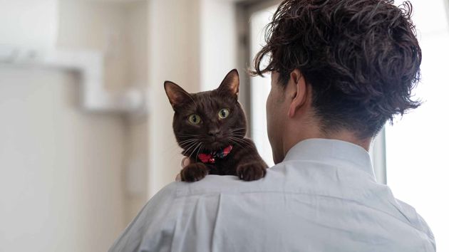 Gettyimages 1135485301 Web 