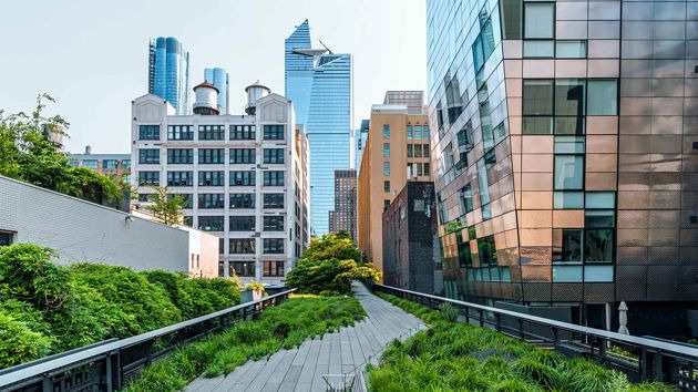 Elevated Walkway In City Scape 